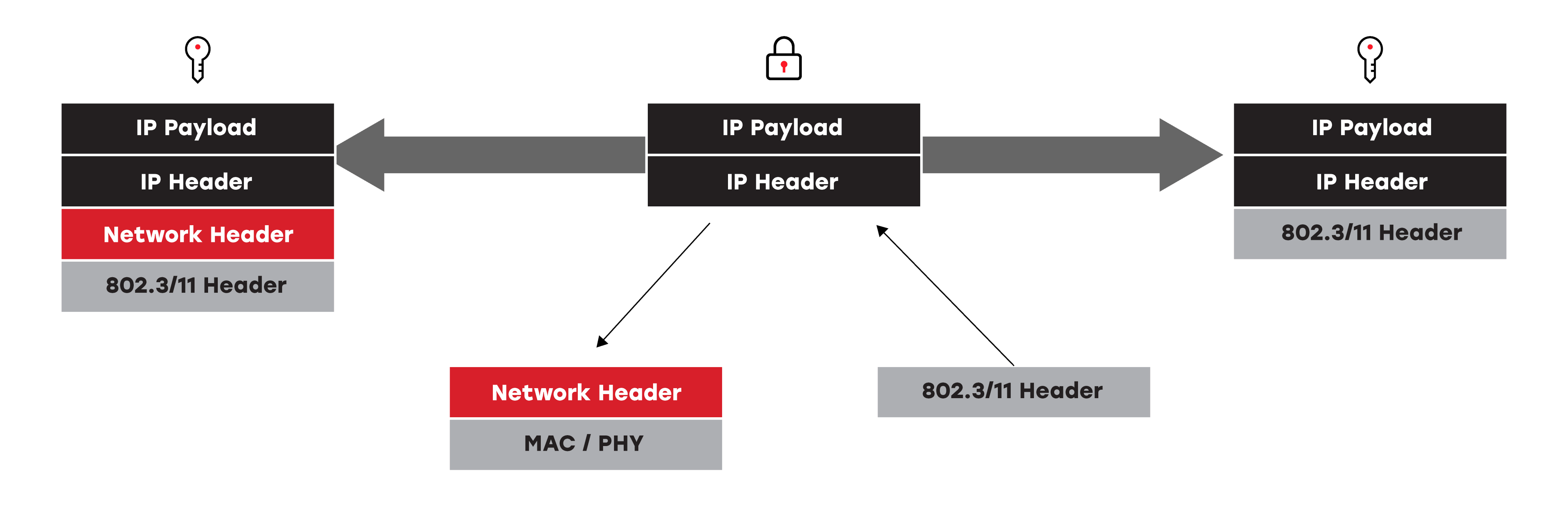 Networks with Native IP Support